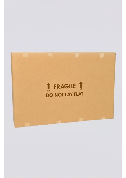 Renkli Kuru Kafa Cam Tablo, Darbelere Dayanıklı Kırılmaz Cam, Hediyelik