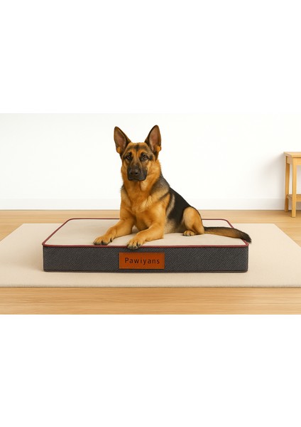 Mat Box Üst Kalite Süngerli Pet Yatağı ,sıvı Geçirmez Alezli, Yıkanabilir Kılıflı