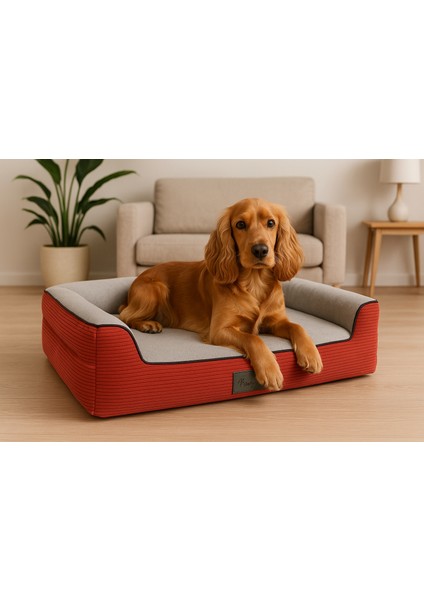 Bolster Üst Kalite Köpek Yatağı 6,5 ve 10CM Süngerli Kılıflı Sıvı Geçirmez Alezli