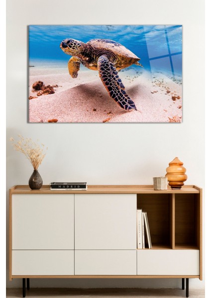 Deniz Kaplumbağası Hayvan Portresi Doğa Manzarası Cam Tablo, Temperli Rodajlı Dayanıklı Kırılmaz Cam