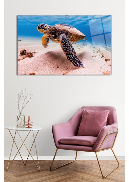 Deniz Kaplumbağası Hayvan Portresi Doğa Manzarası Cam Tablo, Temperli Rodajlı Dayanıklı Kırılmaz Cam fiyatları