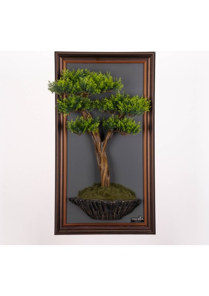 Bonsai Tableau-1C