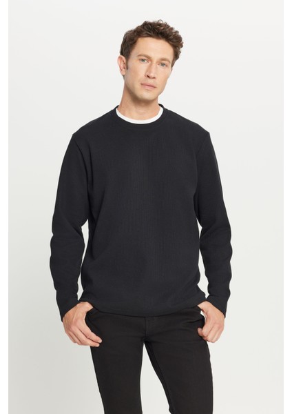Pamuklu Standart Fit Normal Kesim Bisiklet Yaka Sweatshirt modelleri