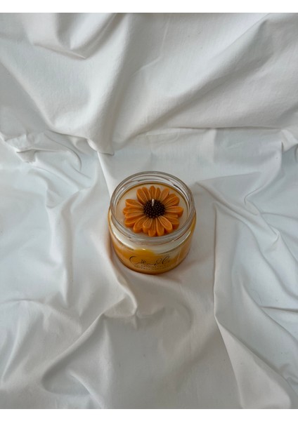 Spring Joy Candle Portakal Kokulu 240 Gram Doğal Soya Mumu - El Yapımı modelleri