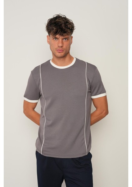 Kül Regular Fit Bisiklet Yaka Erkek T-Shirt E1009 fiyatları