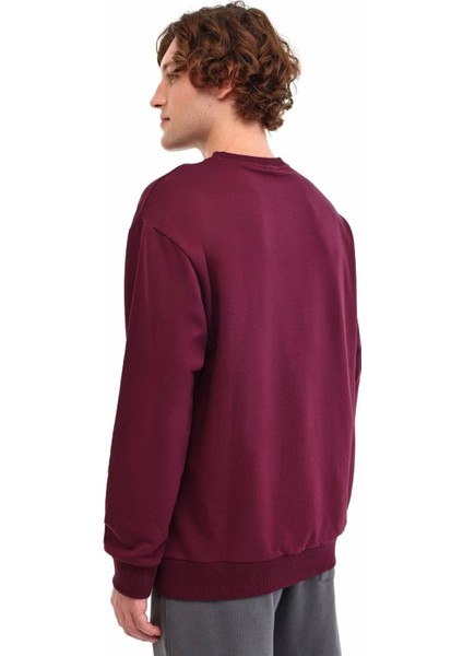 MB SN75 C Neck Sw 5pr Bordo Erkek Sweatshirt A102032527 fiyatları