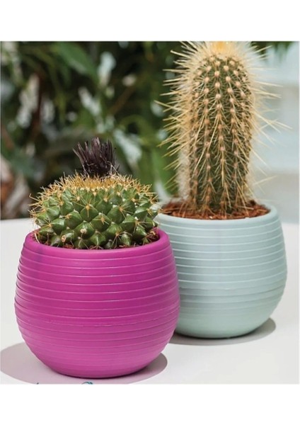 Bitki ve Kaktüs Saksısı 0,13 Lt 1 No -ES01