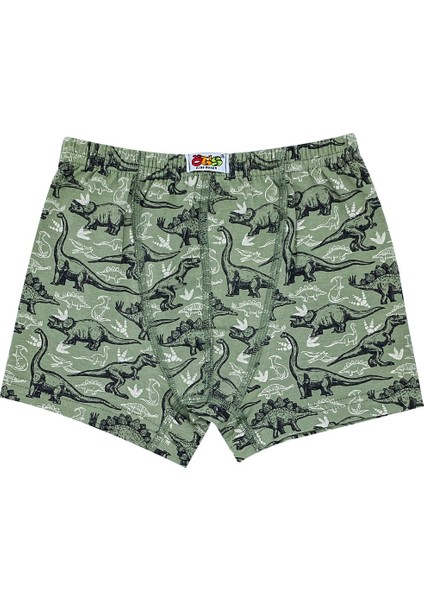 Erkek Çocuk Boxer 3'lü Baskılı (%96 Pamuk - %4 Elastan) modelleri