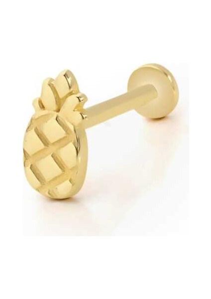 Ananas Model Tragus Piercing