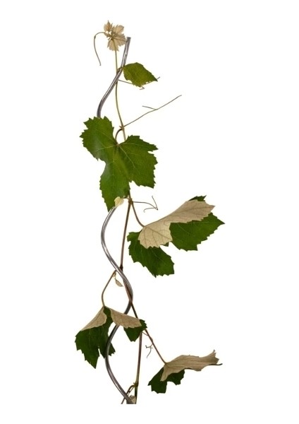 2000 Spiral Bitki Destek Çubuğu 2mt fiyatları