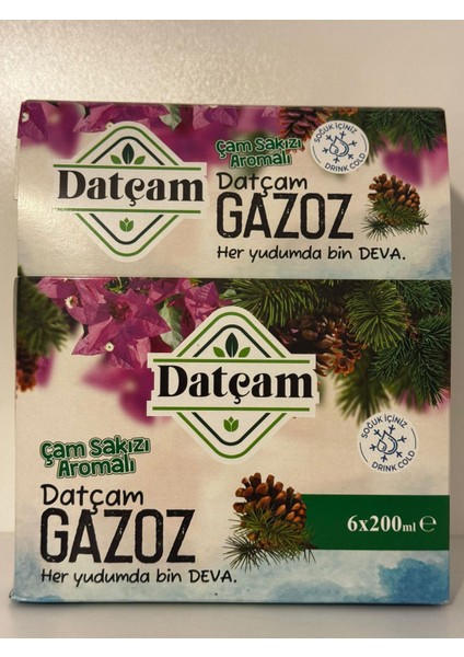 Çam Sakızı Aromalı Datça Gazozu 200 ml 6'lı