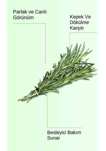 Doğal Saf Biberiye Suyu, Dökülme Karşıtı, Güçlendiricı, Hızlı Saç Uzama, Saç Toniği 100 ml fiyatları