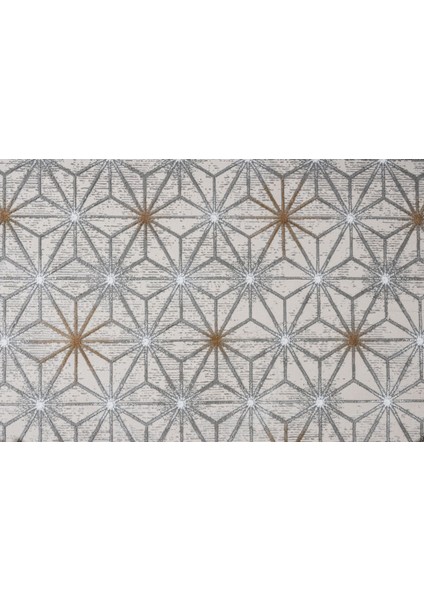 Pesaro Geometrik Vizon Mikrofiber Dikdörtgen Modern Desenli Akrilik Hav Vermeyen Leke Tutmayan Kolay Temizlenen Yumuşak Makine Salon Yolluk Mutfak Halı modelleri