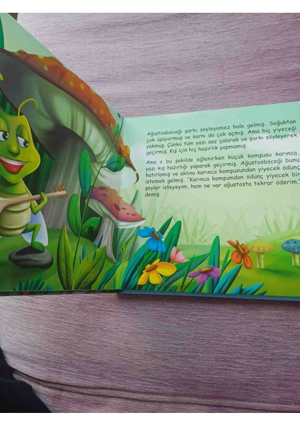 Nono Bugun Okula Gıtmek Istemıyorum Martı Yayınları Seslı Kitap Ilkgul Kaya 10 Sayfa Cıltlı Somizli Temız Durumdadir modelleri