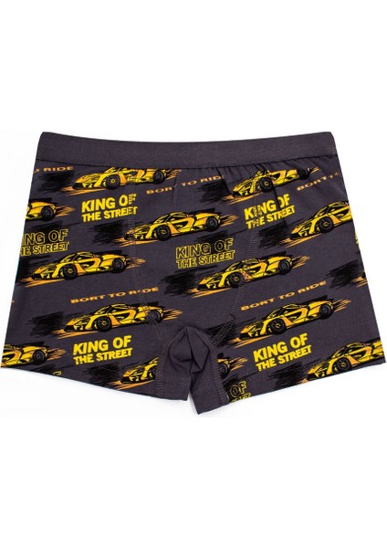 Erkek Çocuk Boxer 3'lü Baskılı (%96 Pamuk - %4 Elastan) fırsatları