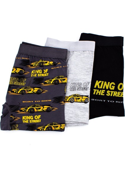 Erkek Çocuk Boxer 3'lü Baskılı (%96 Pamuk - %4 Elastan) indirimleri