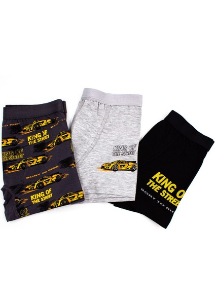Erkek Çocuk Boxer 3'lü Baskılı (%96 Pamuk - %4 Elastan)