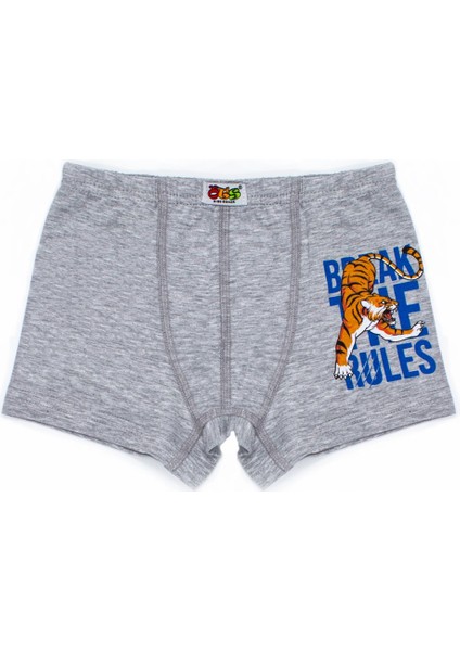 Erkek Çocuk Boxer 3'lü Baskılı (%96 Pamuk - %4 Elastan) fırsatları
