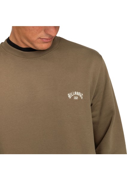 Arch Cr Erkek Kahverengi Sweatshirt