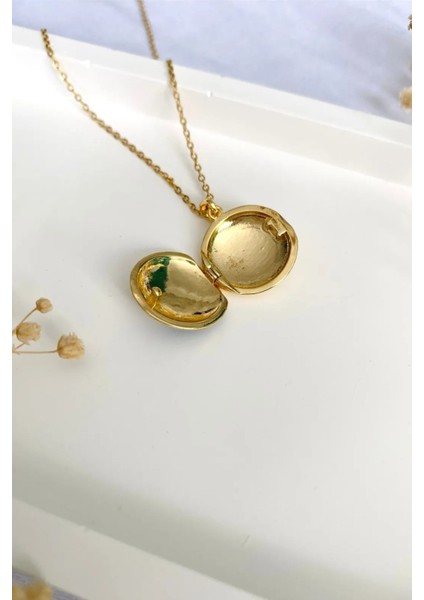 Dünya Desenli Açılabilir Kapaklı Fotoğraf Koyulabilen Çelik Kolye Çift Kolyesi fırsatları