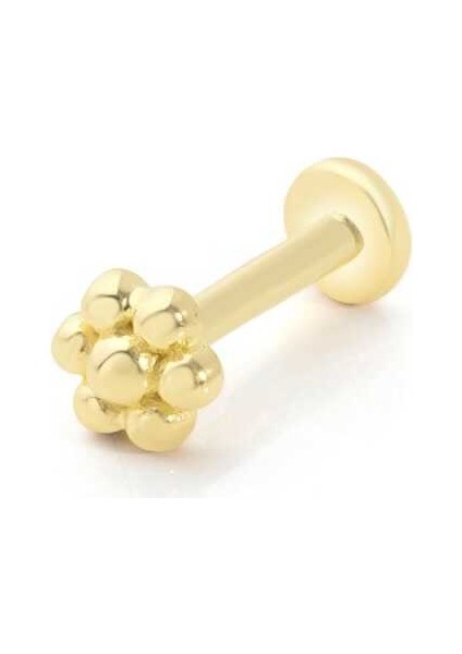 Madamme Çiçek Tragus Piercing