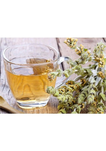 Organik Taze Dökme Adaçayı 250 gr fiyatları