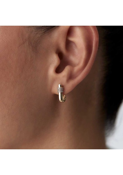 Whistle Küpe fiyatları