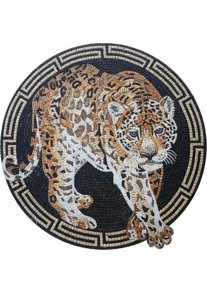 Drom Dokuma Taban Makinede Yıkanabilen Kilim Kaymaz Şönil Soyut Leopar Yuvarlak Kreatif Halı