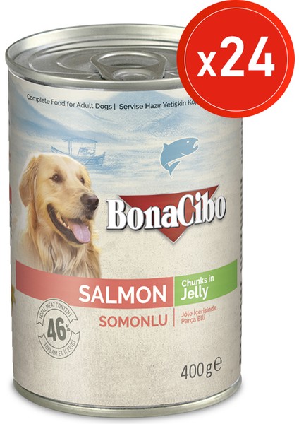 Jöleli Somonlu Yaş Köpek Maması, 400 gr x 24 Adet, Tüm Irklar Için, Doğal, Şeker Içermez
