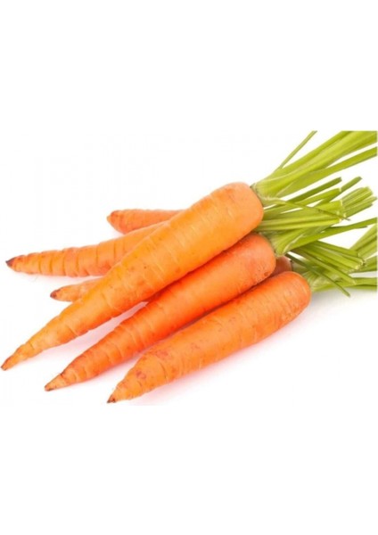 Sarı Havuç Tohumu 10 gr fiyatları