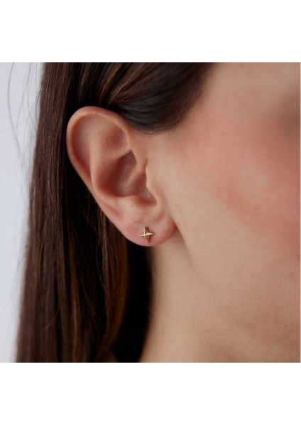 Kutup Yıldızı Küpe fiyatları