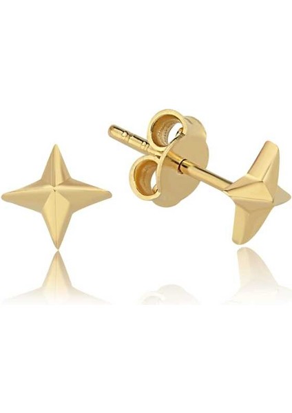 Kutup Yıldızı Küpe modelleri