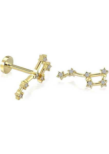 Büyük Ayı Motifli Tragus Piercing