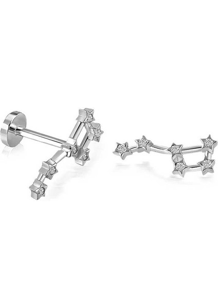 Büyük Ayı Motifli Tragus Piercing fiyatları