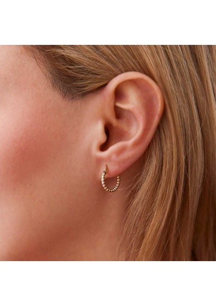 Small Ball Halka Küpe fiyatları