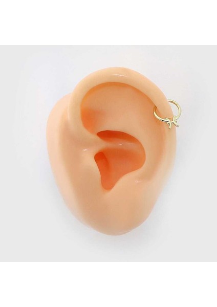 Balık Burcu Halka Helix Piercing