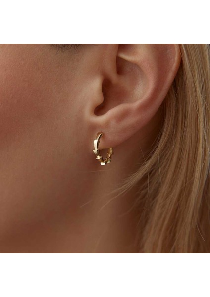 Timsah Pulu Halka Küpe fiyatları