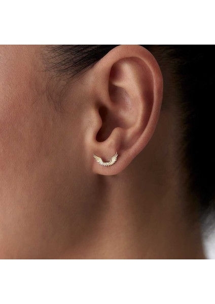 Anka Kanat Küpe fiyatları