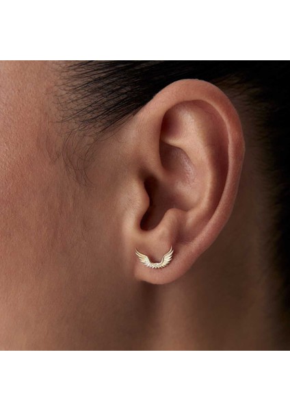 Anka Kanat Küpe fırsatları