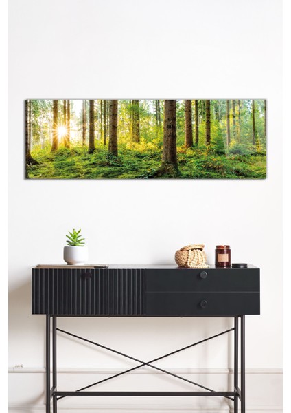 Yeşil Orman ve Ağaç Manzarası Panoramik Cam Tablo, Darbelere Dayanıklı Kırılmaz Cam, Hediyelik