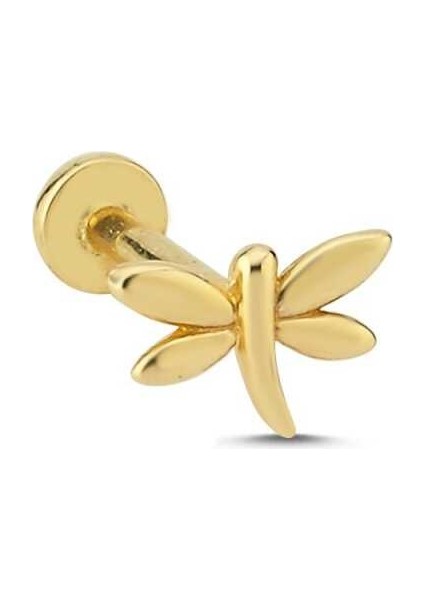 Yusufçuk Tragus Piercing