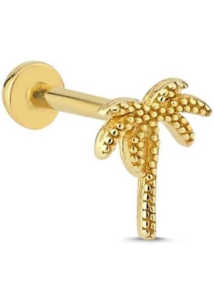 Işleme Detay Palmiye Model Tragus Piercing