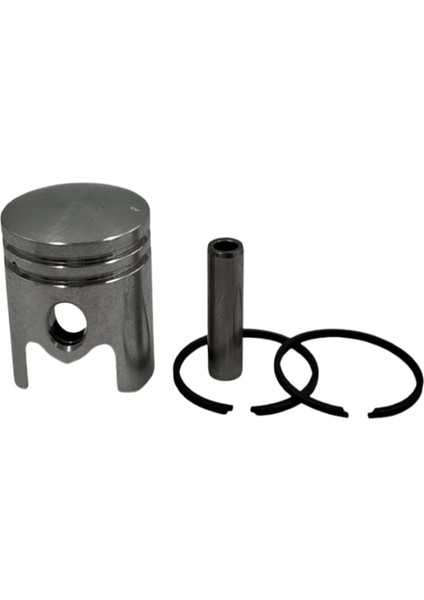 Ilaçlama Piston Segman Kaseı 3WZ6/TL23 31MM