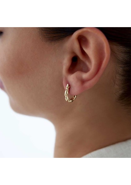 Kıvrım Küpe fiyatları