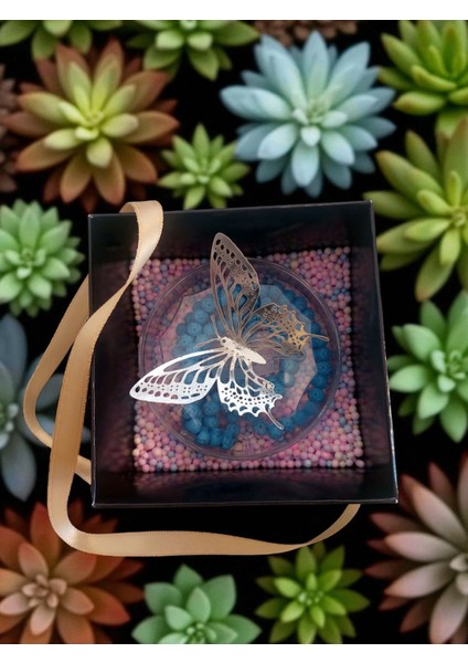 Tesbihhediye Kutusu modelleri