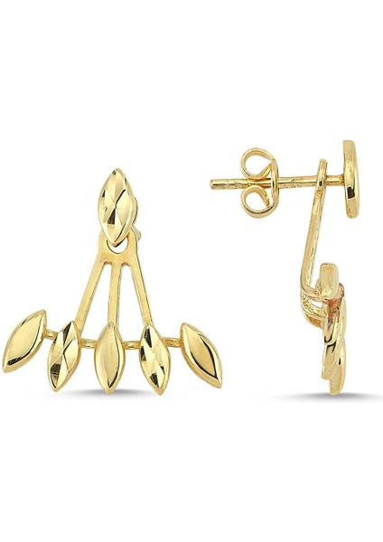 Damla Toplu Küpe fiyatları