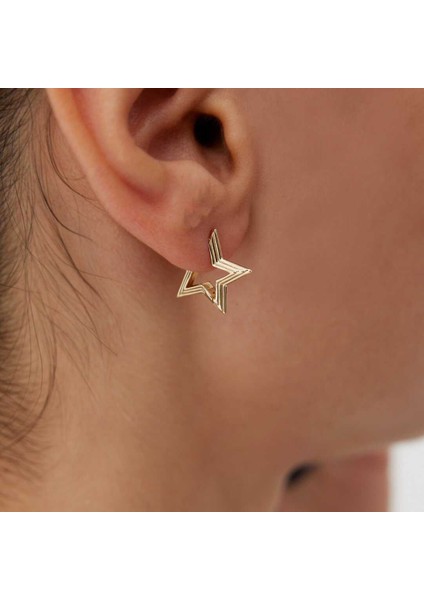 Üç Boyutlu Yıldız Küpe