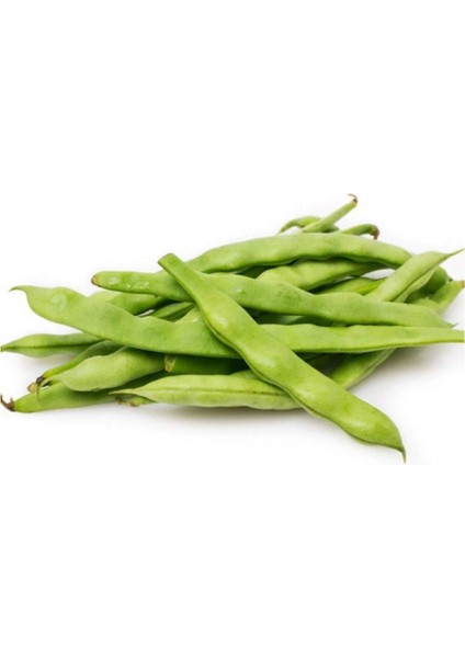 Fasulye Tohumu 50 gr