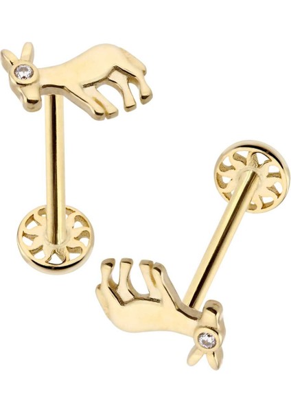 Eşek Tragus Piercing