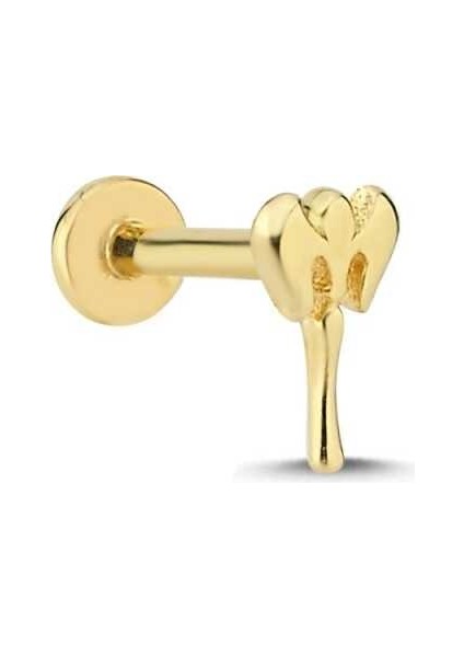 Çifte Balta Model Tragus Piercing